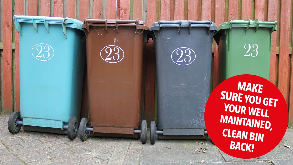 Clean your bin to keep it pest free